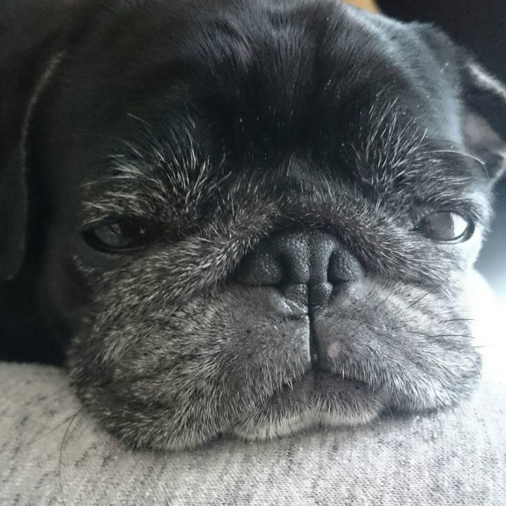 247ba318 75a5 46c9 8c49 75ffd097a1cc