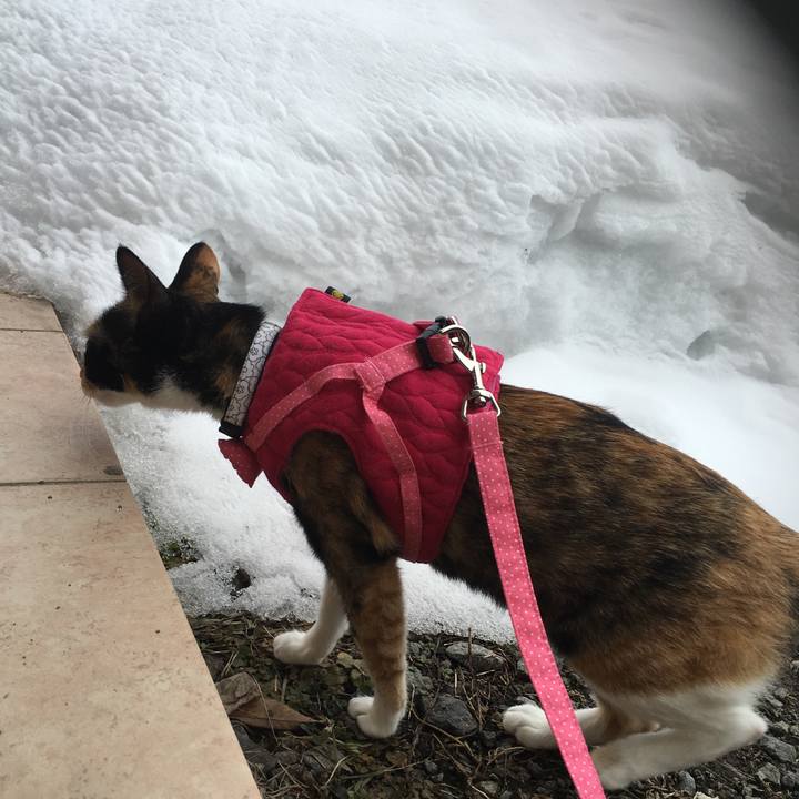 247bf340 17de 45f6 b8b4 ab1dd1b329fe