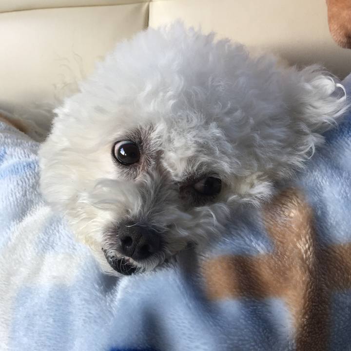 247bf5f5 d82e 4174 bfe9 0cbf40753efb