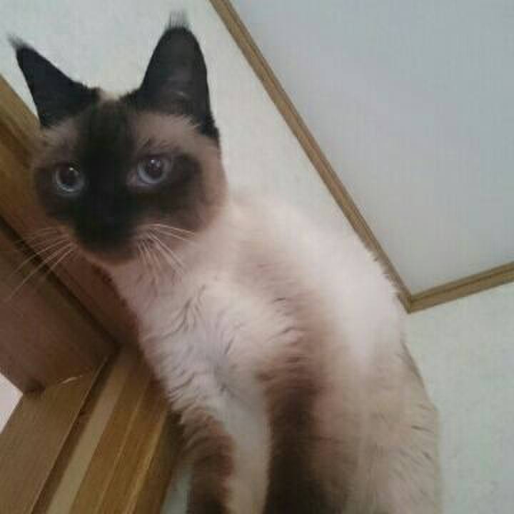 247c2bba 4a7c 453b 95ec 2c66ecfa8637