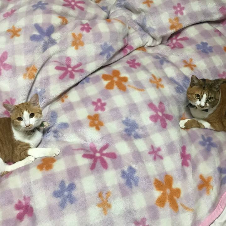 247c5bf1 0509 4c61 9d9a 932db563f6c2