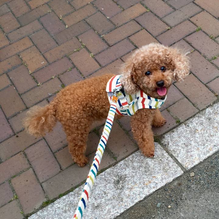 247c60e1 1a5f 44f3 8ecd 22d73ddb8b30