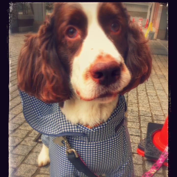 247d1105 7054 40bd ad10 7fd92acc5a65