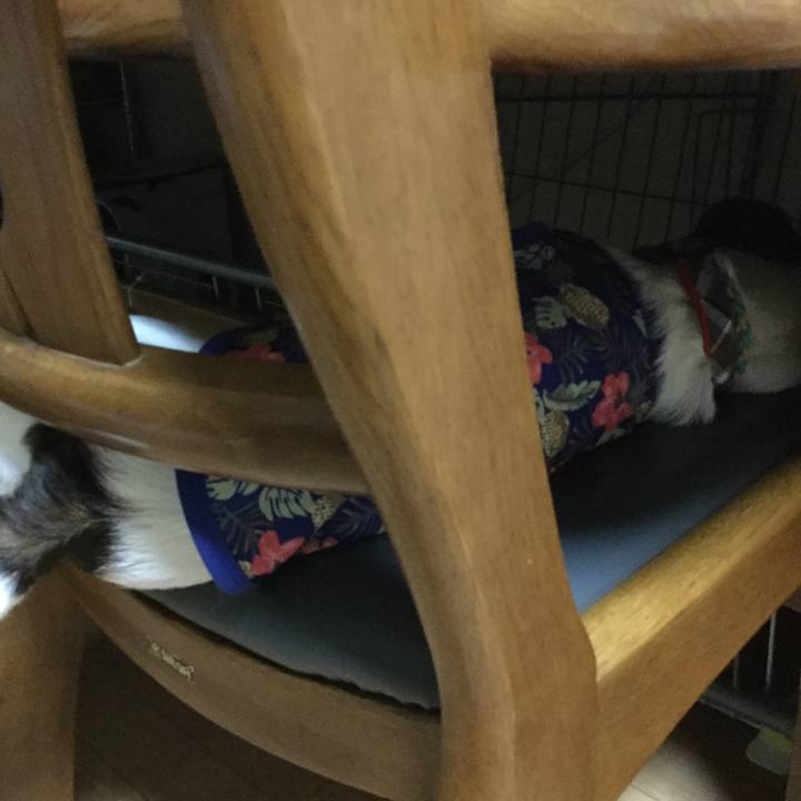 247db550 c8a3 4018 aeb9 5ad553d8fc30