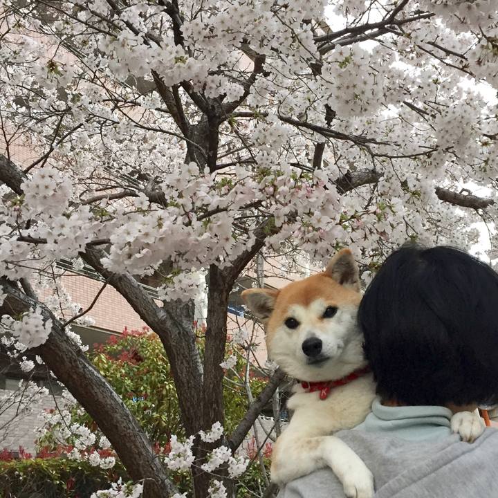 247ddd3f 69ec 4b10 b590 b241e0aa9440