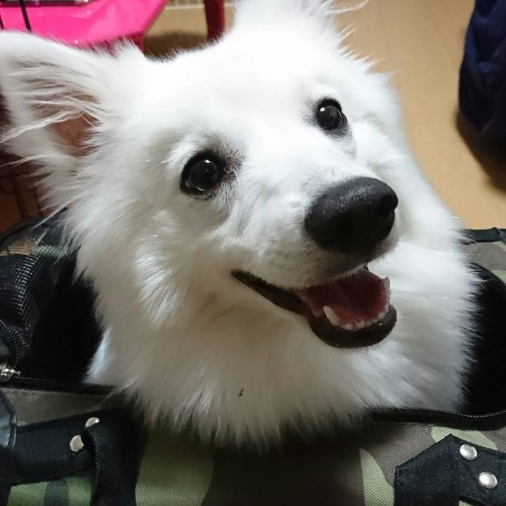 247e3133 2ca3 49ad b89c aa8b76f79241