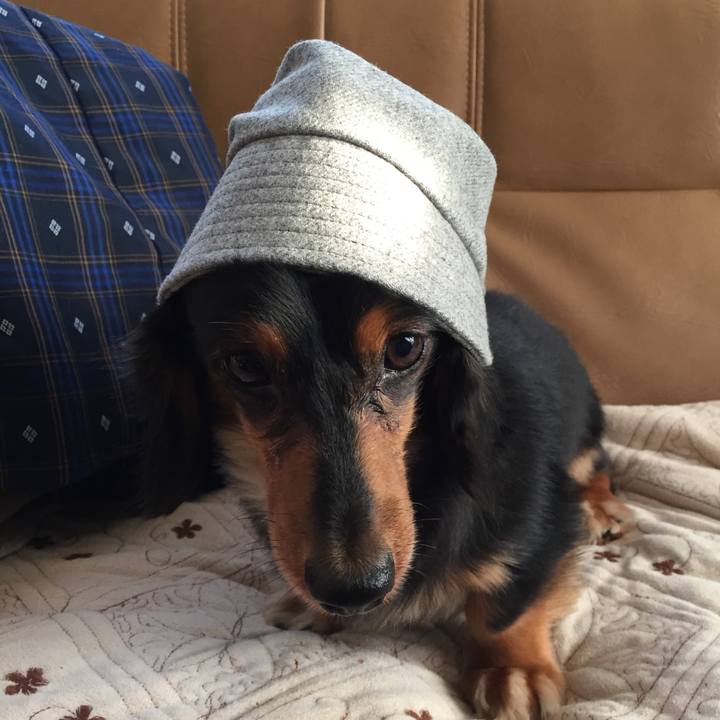 247e9280 f895 48a1 9897 2ec83901189a