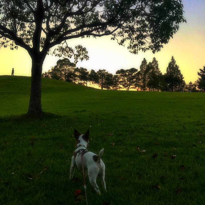 247f0287 52ec 4008 8f3b 98acf66910eb