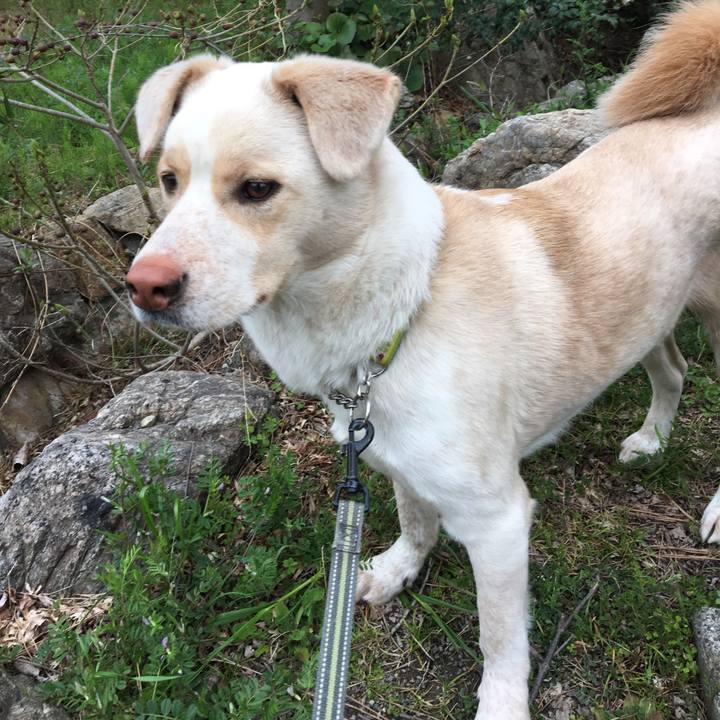 247f08fd 9710 46be 88ea b5df6acb7b64