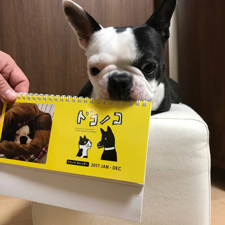 247f613a 481e 487f b8f2 a4927fc588e4