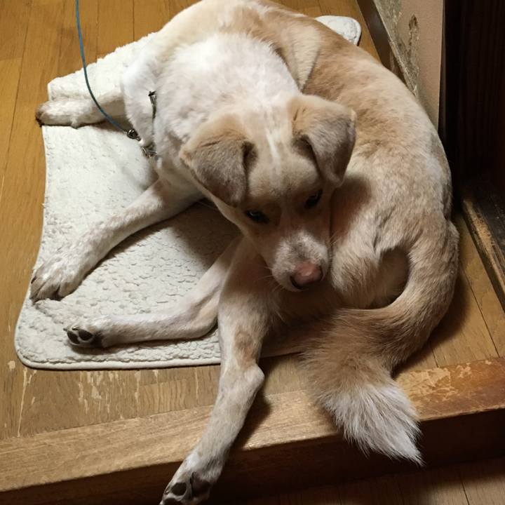 247fa10f 2b09 4b97 9a63 15dbd51f1e6a