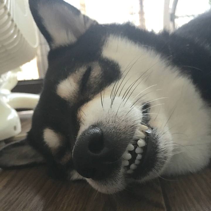 247ffb4d ca4f 4349 bdb3 c2140bbf7eb3