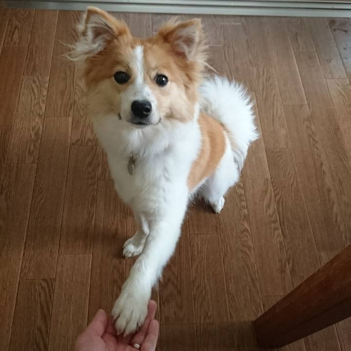 24812c4c 70dd 459b b183 27ec3f197c90