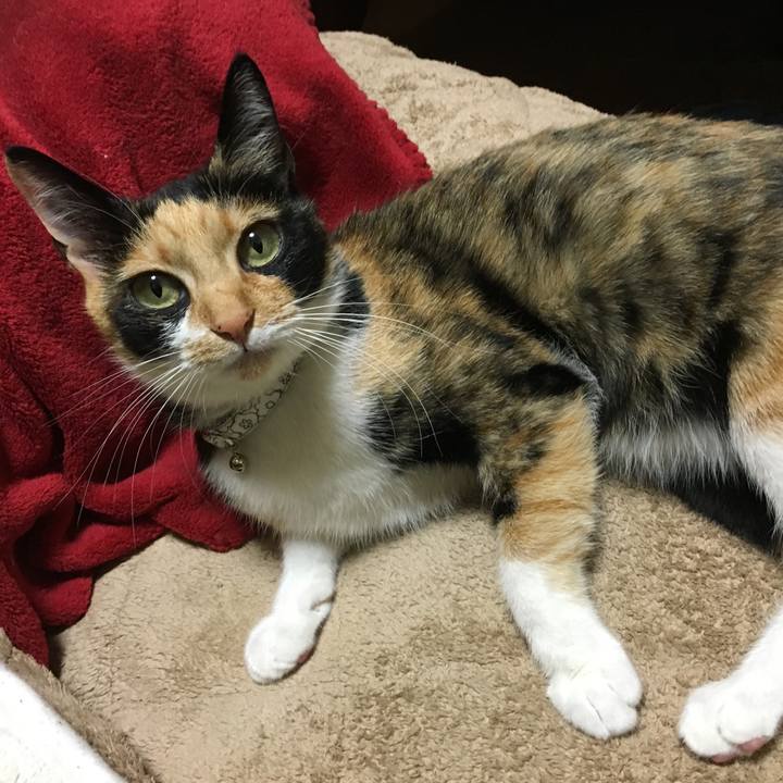 2481ba10 d6ac 4616 aa0d eae512561e41