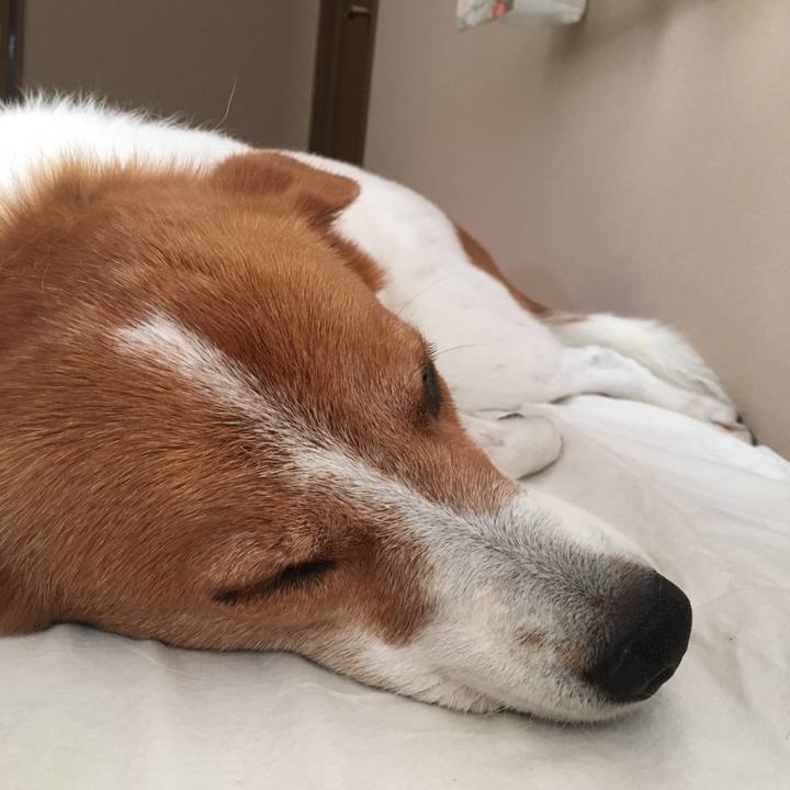 24820962 5d28 4dd2 bfc9 bca5069a2e21