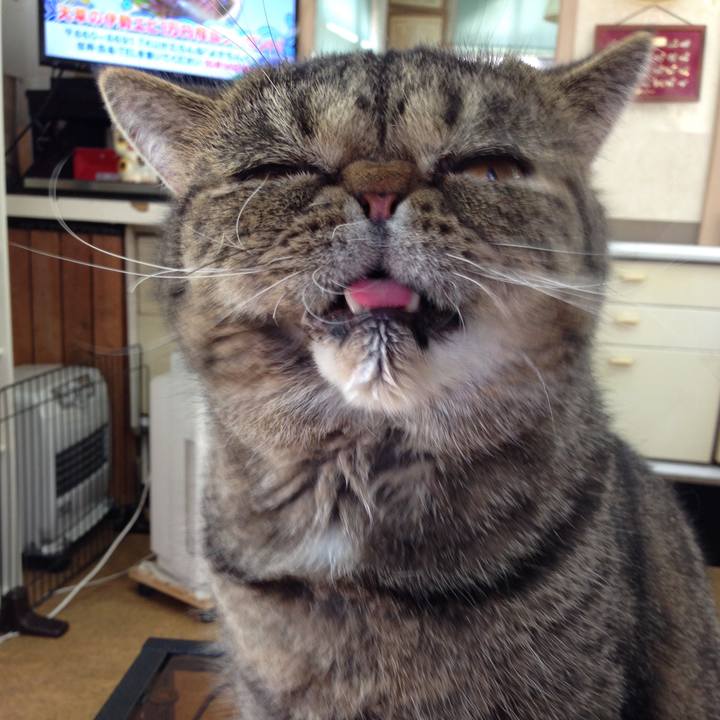 248325aa 7d65 4ab1 940f 339a80036ba7