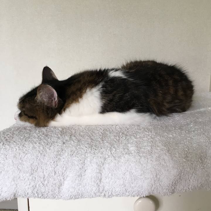 2483278f c565 42a3 8b65 2502ecbe7bbe