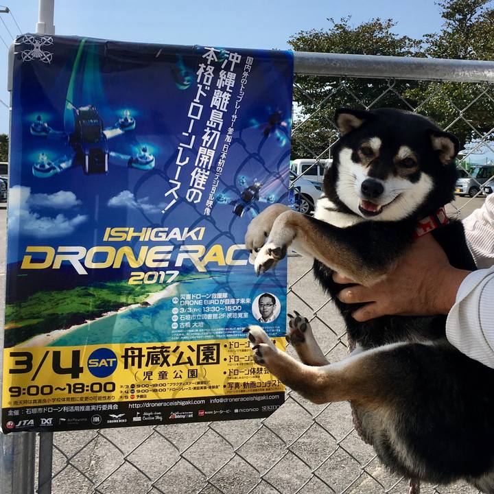 24832e2a f975 4ea1 a11e b49a870fae2b