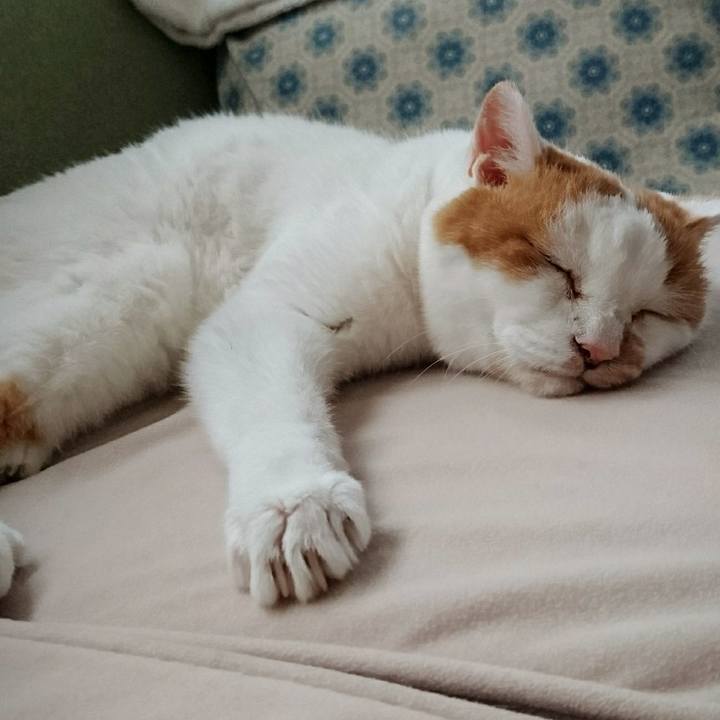 2483a50f 3e42 4cf9 a6c1 71fe0a27c7ba