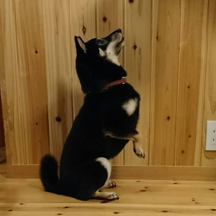 2483e0be d67f 40b2 91e1 fc8fc379dc0d