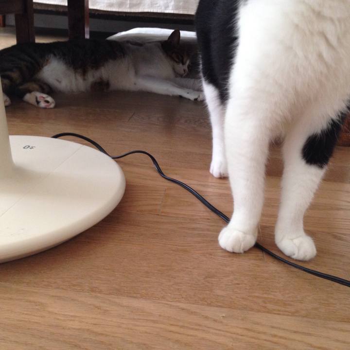 2483faa5 635c 4b56 b236 d40332cd61f4