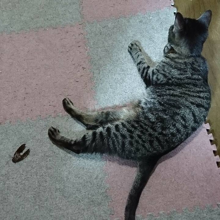 248571f8 d39d 4087 860b 68762102dc0f