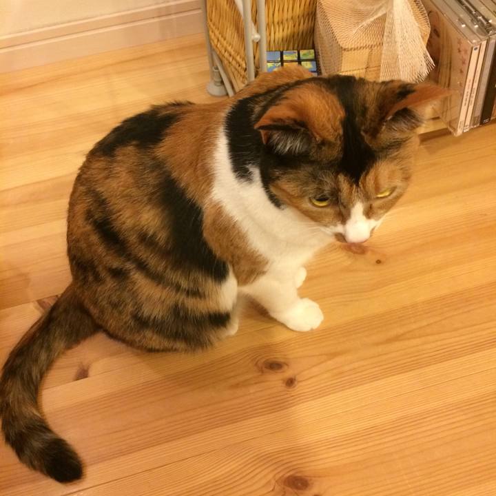 2485b4e9 303e 4d60 adf1 226af98d2c35