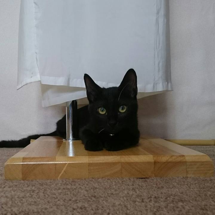 2485b52c 0704 4252 95e0 88790100b07a