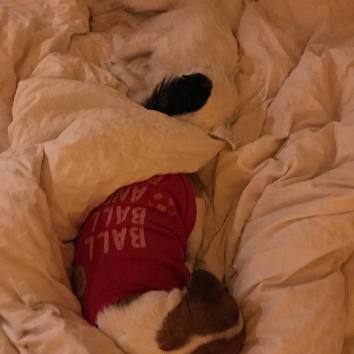 2486462e fce0 4a26 bb94 98033d0f56bb