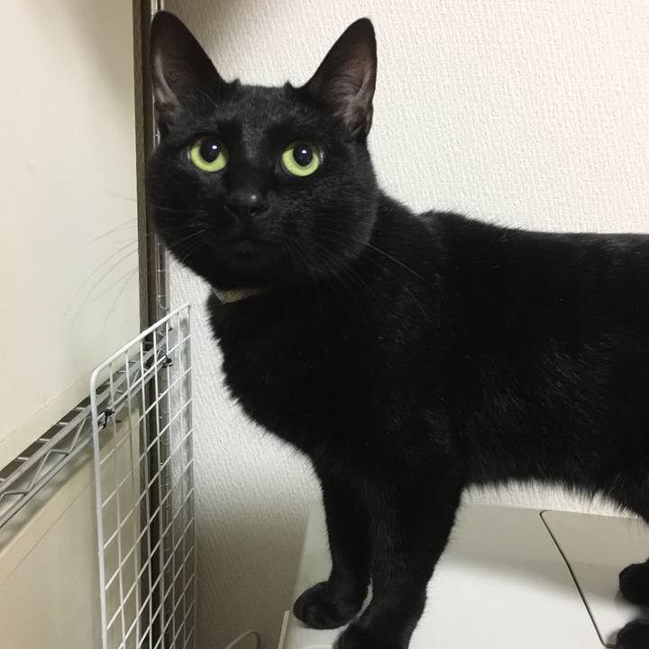 2486a091 c2c0 4d66 bb36 1e771027c5b7