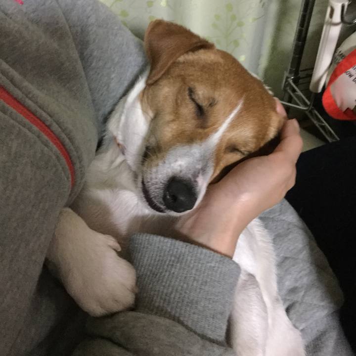 2486da69 ef8e 4ef5 a174 887f8597a192