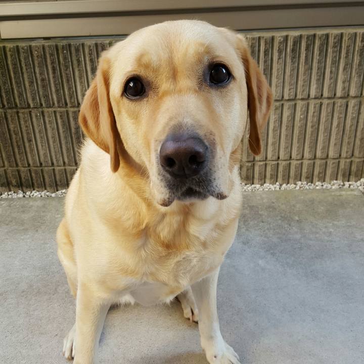 2487bce5 1bd7 4e02 b58b 727d6b04ea65