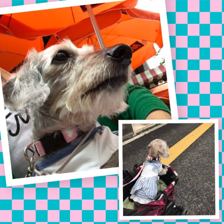 24886145 9d38 4d79 aeb8 b1526d772601