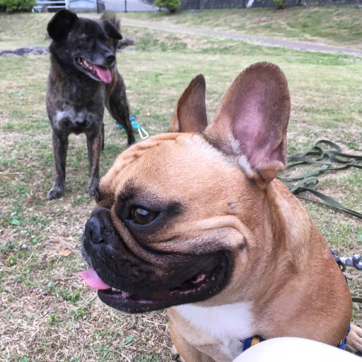 24888fa1 8c1d 420e b3c7 82a30bc03547