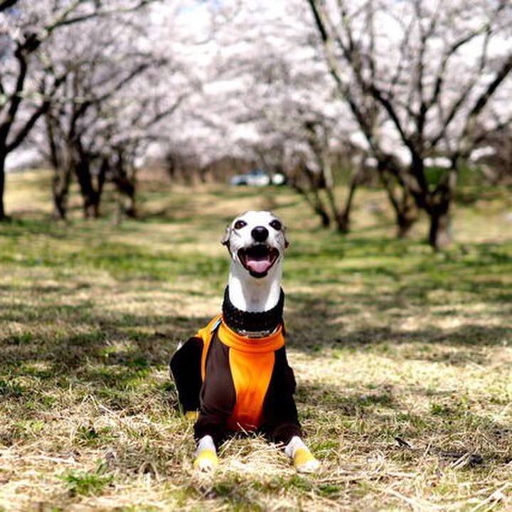 2488fb59 e02a 45dd a013 a3da8ef45514