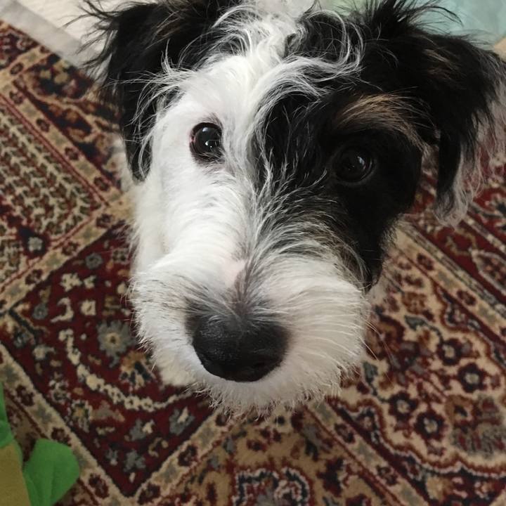 2489649c b1e0 40c9 ac3d d7a9e56f6947