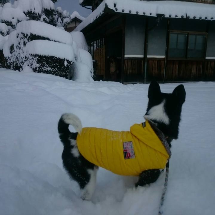 248c0684 5973 4a20 98c2 a1bfab88e33c