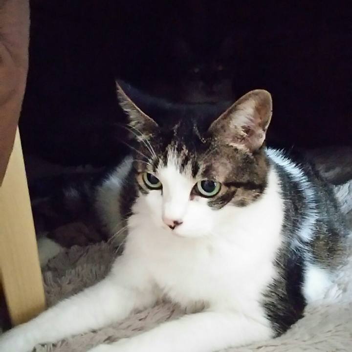 248c0b88 2b77 47ae 88fd 9017a16fb59b