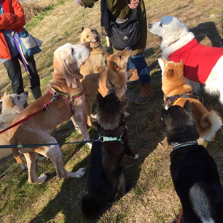 248c2d2c 6b62 4013 be5c 4bccc29de4b7