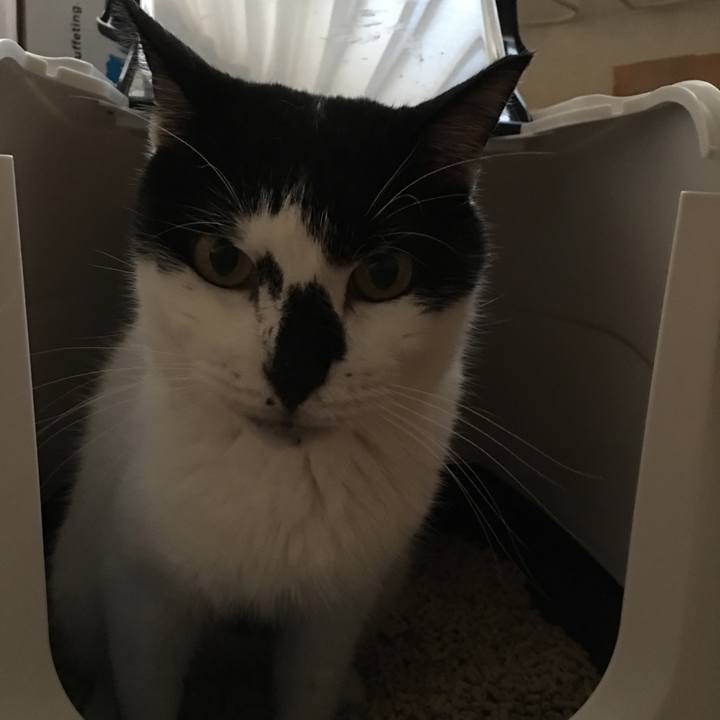 248c3844 cc95 497d be65 072125914f15