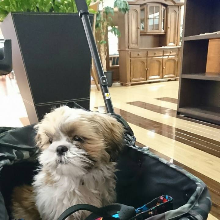 248c4e57 37cb 4f59 a674 c4be3ff03c76