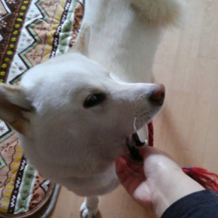 248cb060 3c44 4dd5 8769 ac53908eb35c