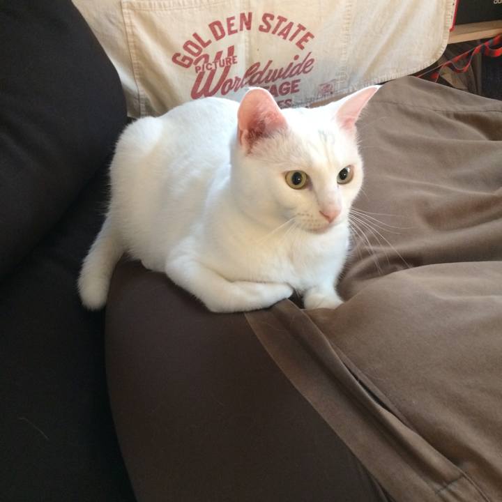 248ce56d 76c9 433e a937 daa0263dc7e9