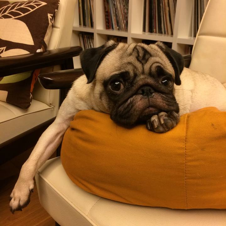 248d2f37 baf6 4d17 b74f dcb57bfe6e25