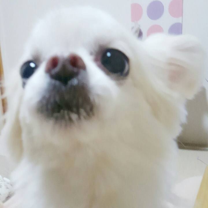 248e37aa ffb9 493b 9c21 dc8a2ab26dac