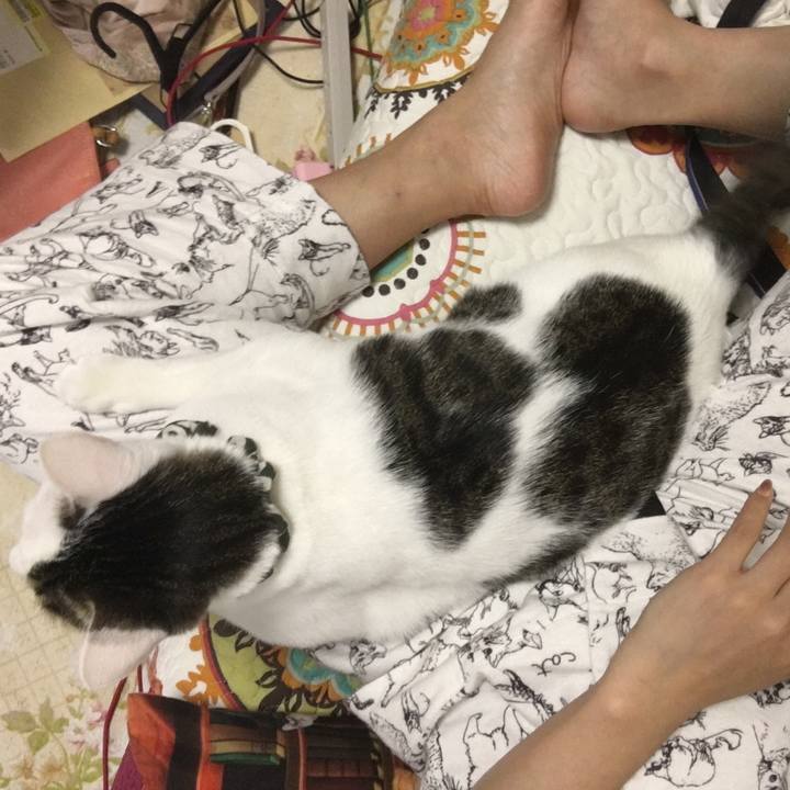 248e6c51 209f 4ded bd9f 5474d5d2eead