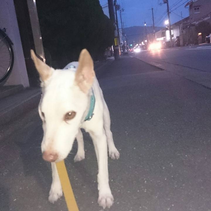 248ec736 c8cd 4fb3 a436 0dad18dea85c