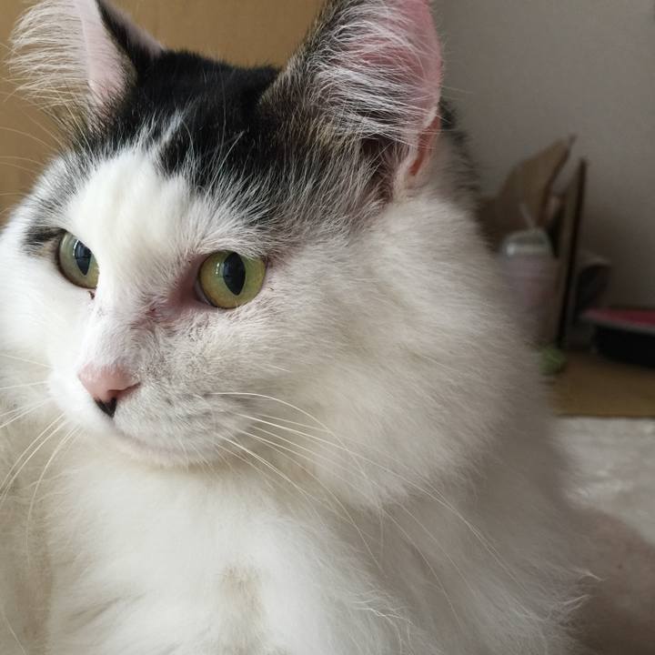 248ed025 92c1 4d44 b0f9 e60f2f192fc2