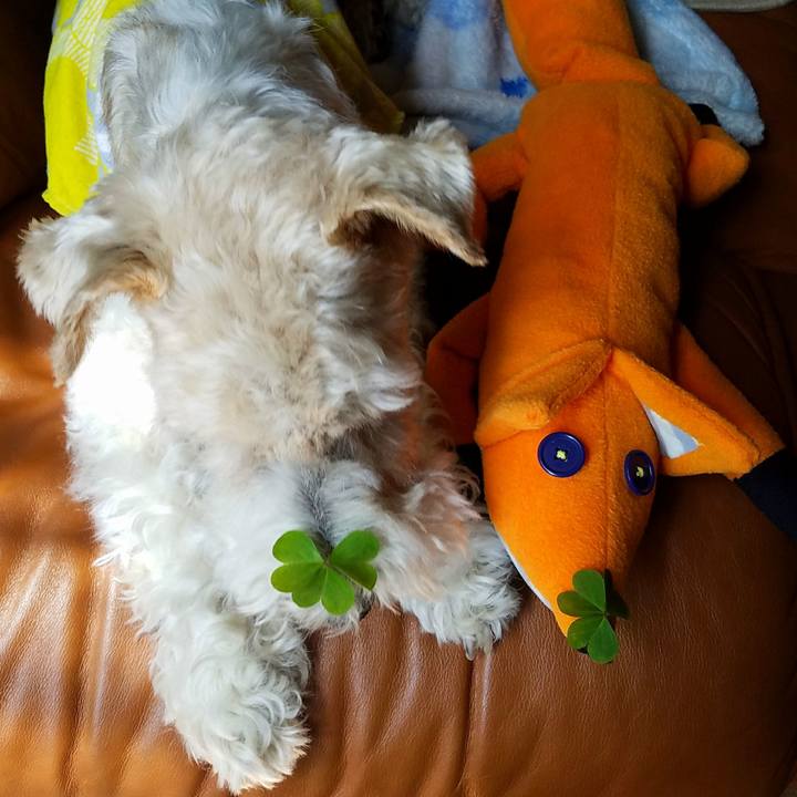 248ed1f3 e677 4846 85b2 82329225d6c4