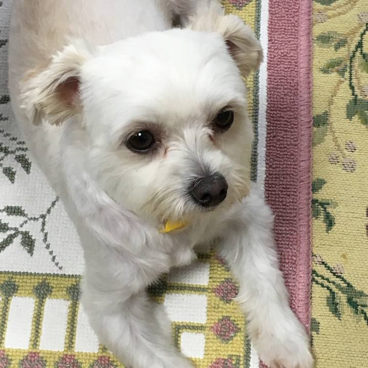 248ef550 d06f 497c b5d7 f385db87748f